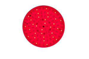 Pool Tone SPA Aftermarket Replacement board for Pentair Intellibrite 5G Home & Garden > Pool & Spa Pentair 