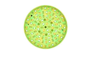 Pool Tone SPA Aftermarket Replacement board for Pentair Intellibrite 5G Home & Garden > Pool & Spa Pentair 