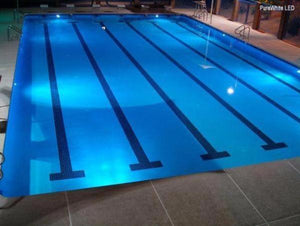 PoolTone White LED Spa Light 12 or 120 Volts 15 - 150 Foot Cord Home & Garden > Pool & Spa Pentair 